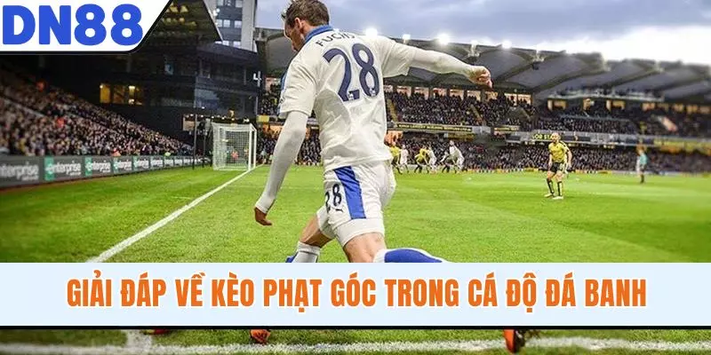 Giải đáp về kèo phạt góc trong cá độ đá banh