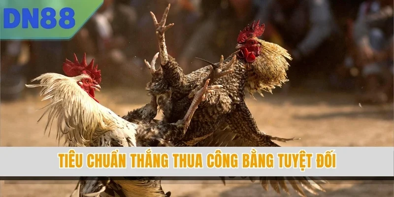 Tiêu chuẩn thắng thua công bằng tuyệt đối
